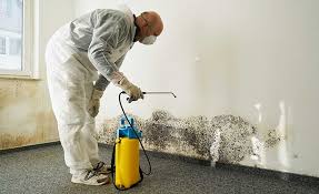 Best Industrial Mold Remediation  in Sandpoint, ID